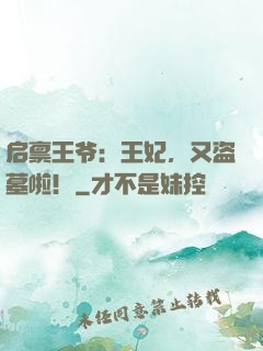 启禀王爷：王妃，又盗墓啦！