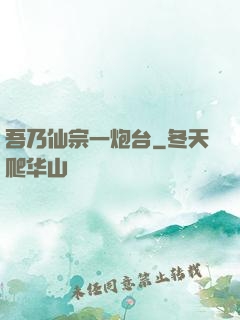 吾乃仙宗一炮台