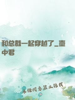 和总裁一起穿越了