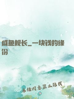 咸鱼舰长