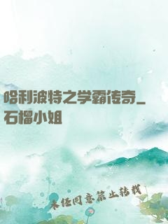 哈利波特之学霸传奇