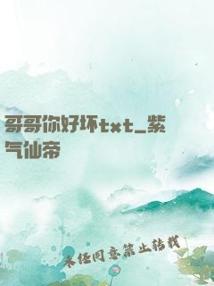 哥哥你好坏txt