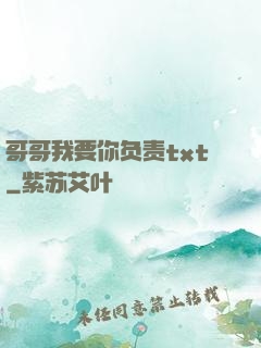 哥哥我要你负责txt