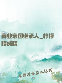 商业帝国继承人