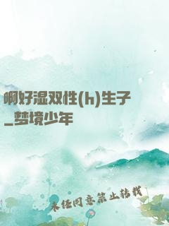 啊好湿双性(h)生子