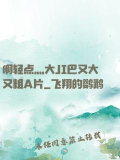 啊轻点灬大JI巴又大又粗A片