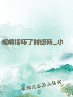 嗯啊插坏了射给我