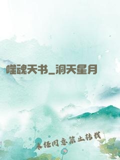 噬魂天书