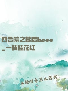 四合院之幕后boss