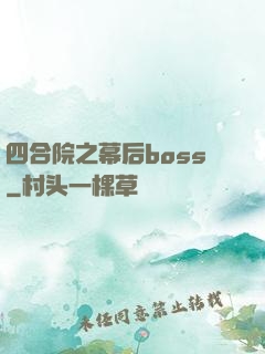 四合院之幕后boss