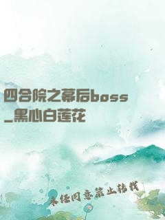四合院之幕后boss