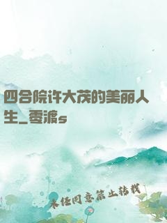四合院许大茂的美丽人生