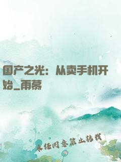 国产之光：从卖手机开始