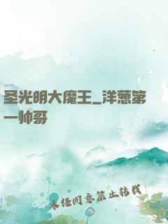 圣光明大魔王