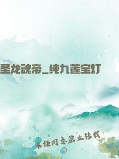 圣龙魂帝
