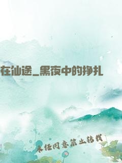 在仙途