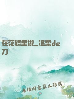 在花轿里做