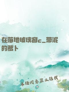 在落地玻璃窗c