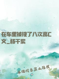 在车里被撞了八次高C文
