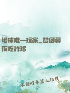 地球唯一玩家