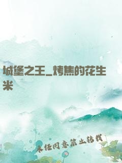城堡之王