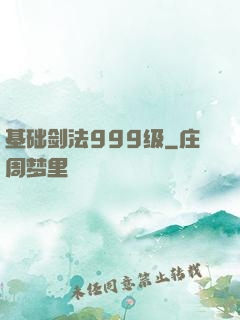 基础剑法999级