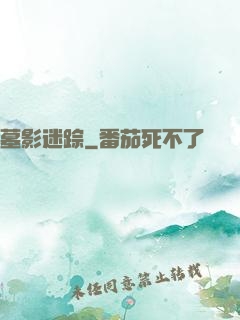 墓影迷踪