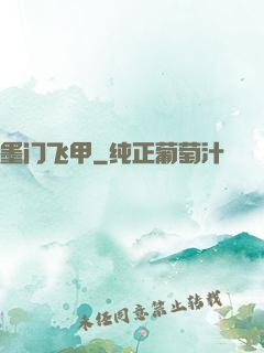 墨门飞甲