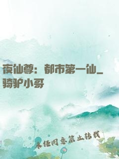 夜仙尊：都市第一仙