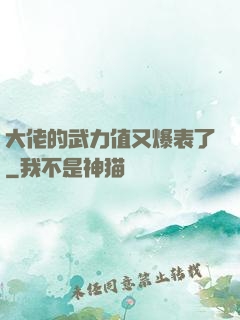 大佬的武力值又爆表了