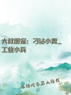 大叔圈宠：刁钻小妻
