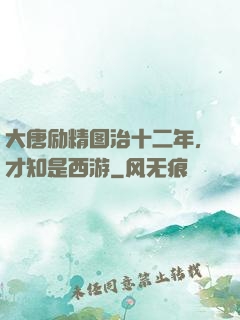 大唐励精图治十二年，才知是西游