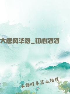 大唐风华路