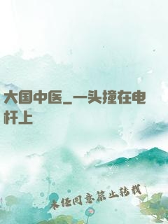 大国中医