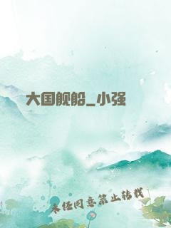 大国舰船