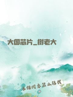 大国芯片