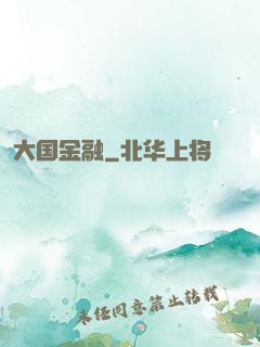 大国金融
