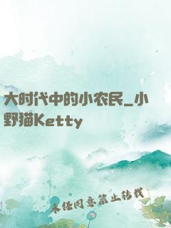 大时代中的小农民