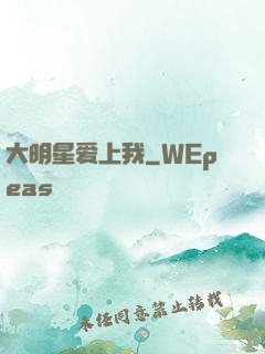 大明星爱上我