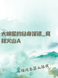 大明星的贴身保镖