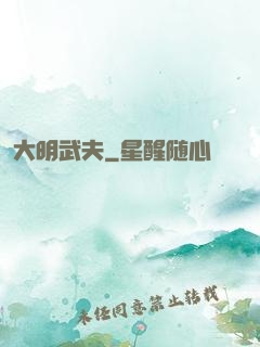 大明武夫