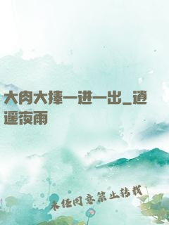 大肉大捧一进一出