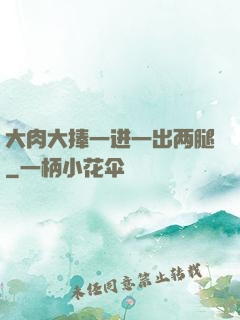 大肉大捧一进一出两腿