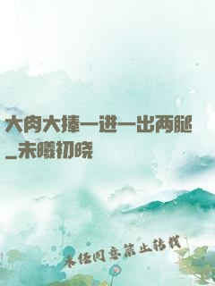 大肉大捧一进一出两腿