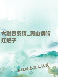 大融合系统