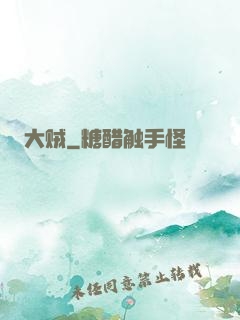 大贼