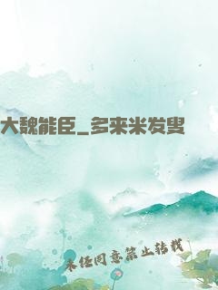 大魏能臣