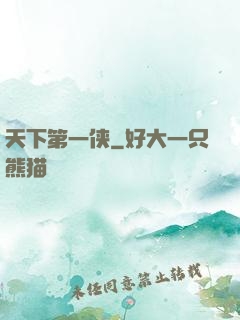 天下第一侠
