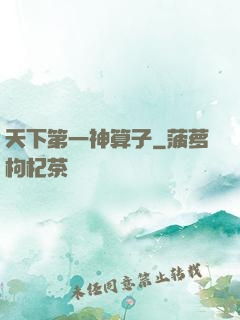 天下第一神算子