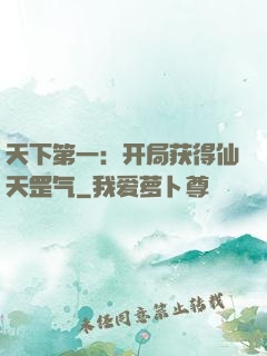 天下第一：开局获得仙天罡气